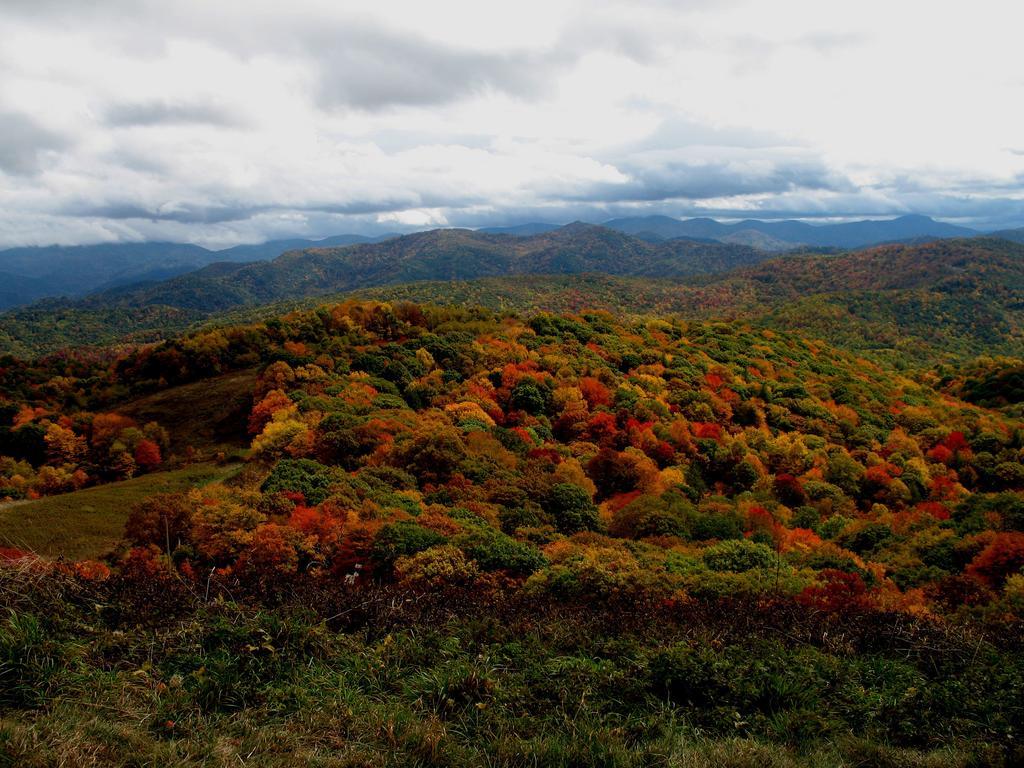Hampton Inn Asheville - Biltmore Area Luaran gambar